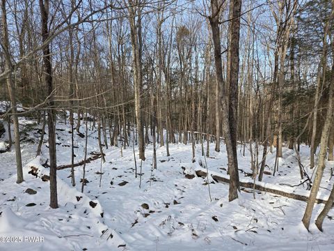 Photo of 118 Pioneer Drive, Lackawaxen, PA 18435 (MLS # PW253954)