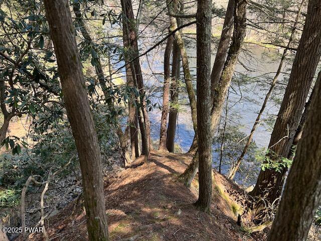 241 Lcpl Jacob Beisel Road, Lackawaxen, Pennsylvania image 35