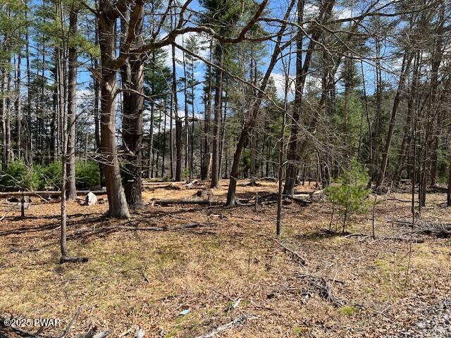 241 Lcpl Jacob Beisel Road, Lackawaxen, Pennsylvania image 30