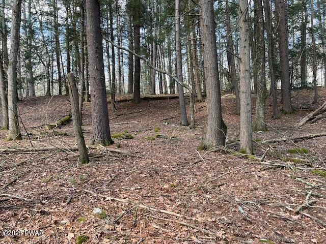 241 Lcpl Jacob Beisel Road, Lackawaxen, Pennsylvania image 32