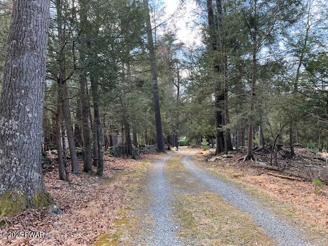241 Lcpl Jacob Beisel Road, Lackawaxen, Pennsylvania image 42