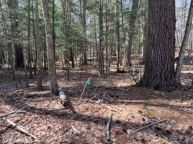 241 Lcpl Jacob Beisel Road, Lackawaxen, Pennsylvania image 33