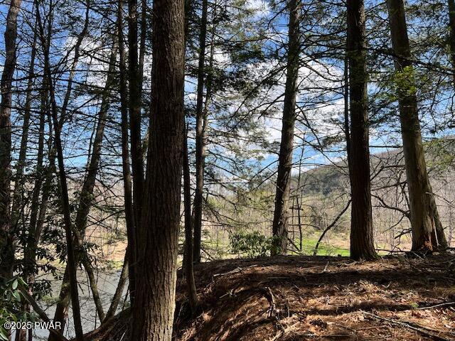 241 Lcpl Jacob Beisel Road, Lackawaxen, Pennsylvania image 34