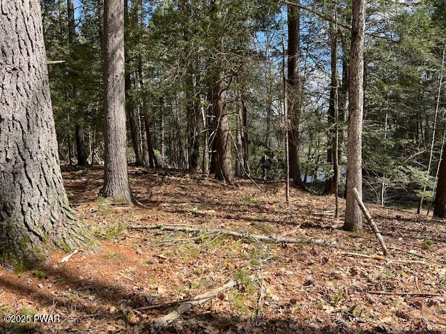 241 Lcpl Jacob Beisel Road, Lackawaxen, Pennsylvania image 31