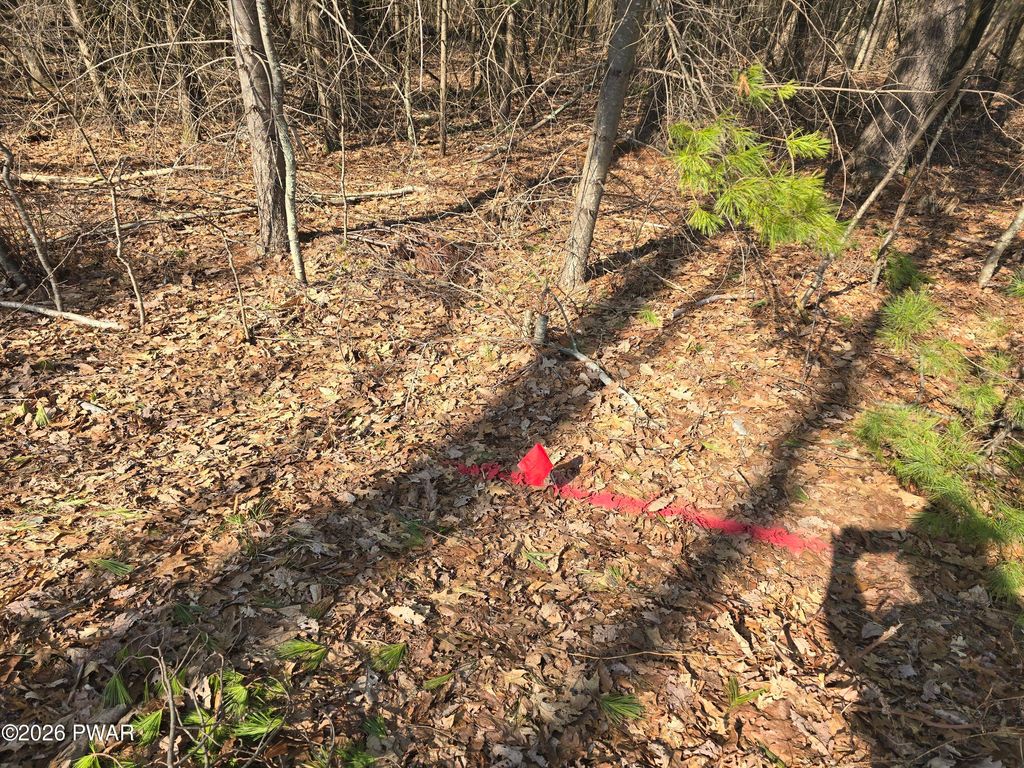 Photo of 3 Stone Ridge Road, Dingmans Ferry, PA 18328 (MLS # PW260705)