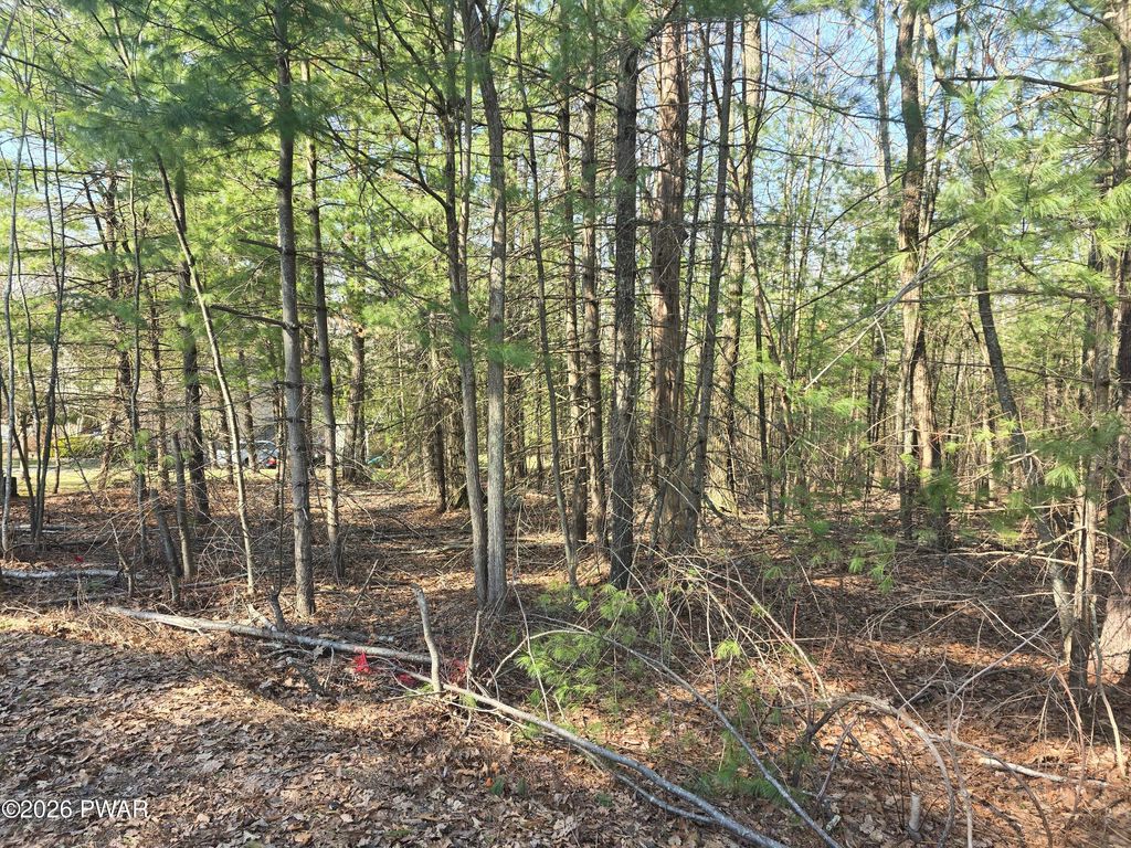 Photo of 3 Stone Ridge Road, Dingmans Ferry, PA 18328 (MLS # PW260705)