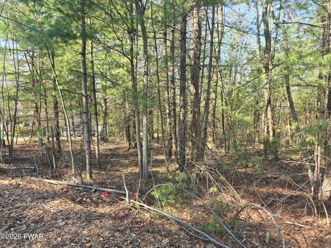 Vacant Land For Sale - LOT 3 Stone Ridge Road<br/> Dingmans Ferry, PA 18328