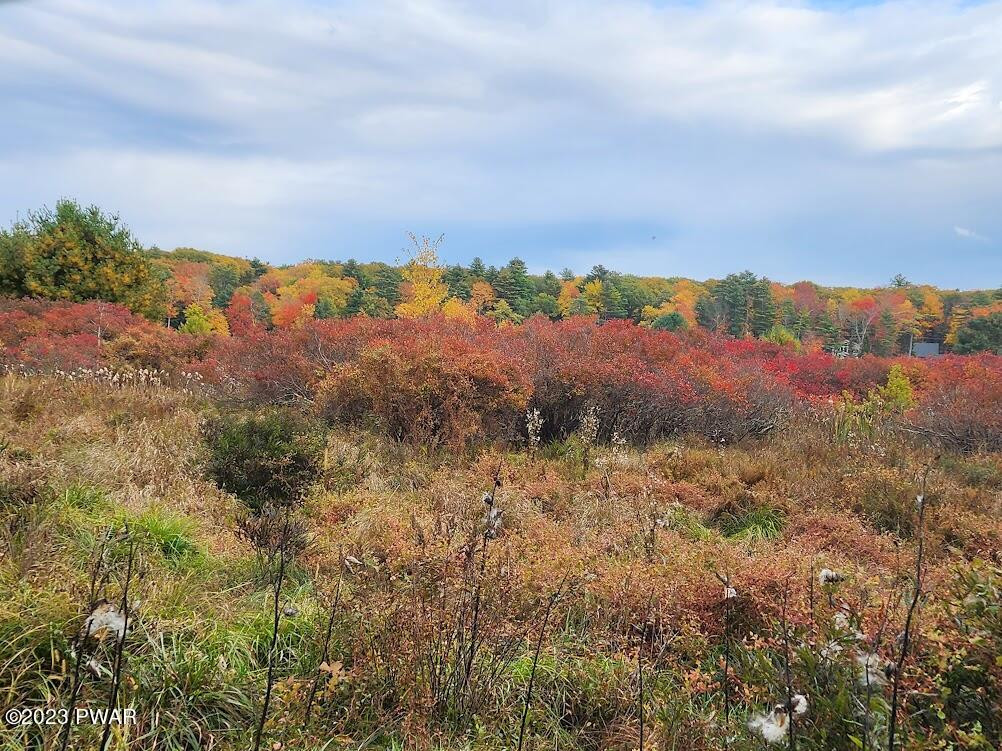 Renee Drive, Dingmans Ferry, Pennsylvania image 6