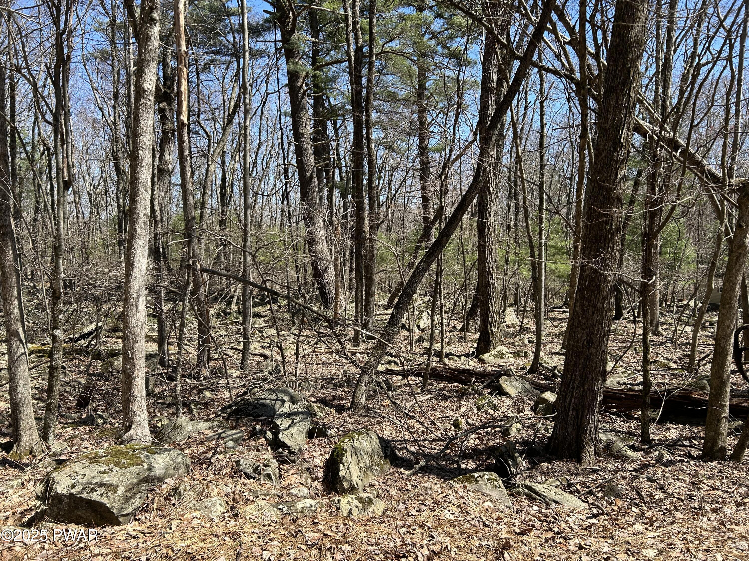 Lot 81 82 Heavenly Valley Drive, Tafton, Pennsylvania image 8