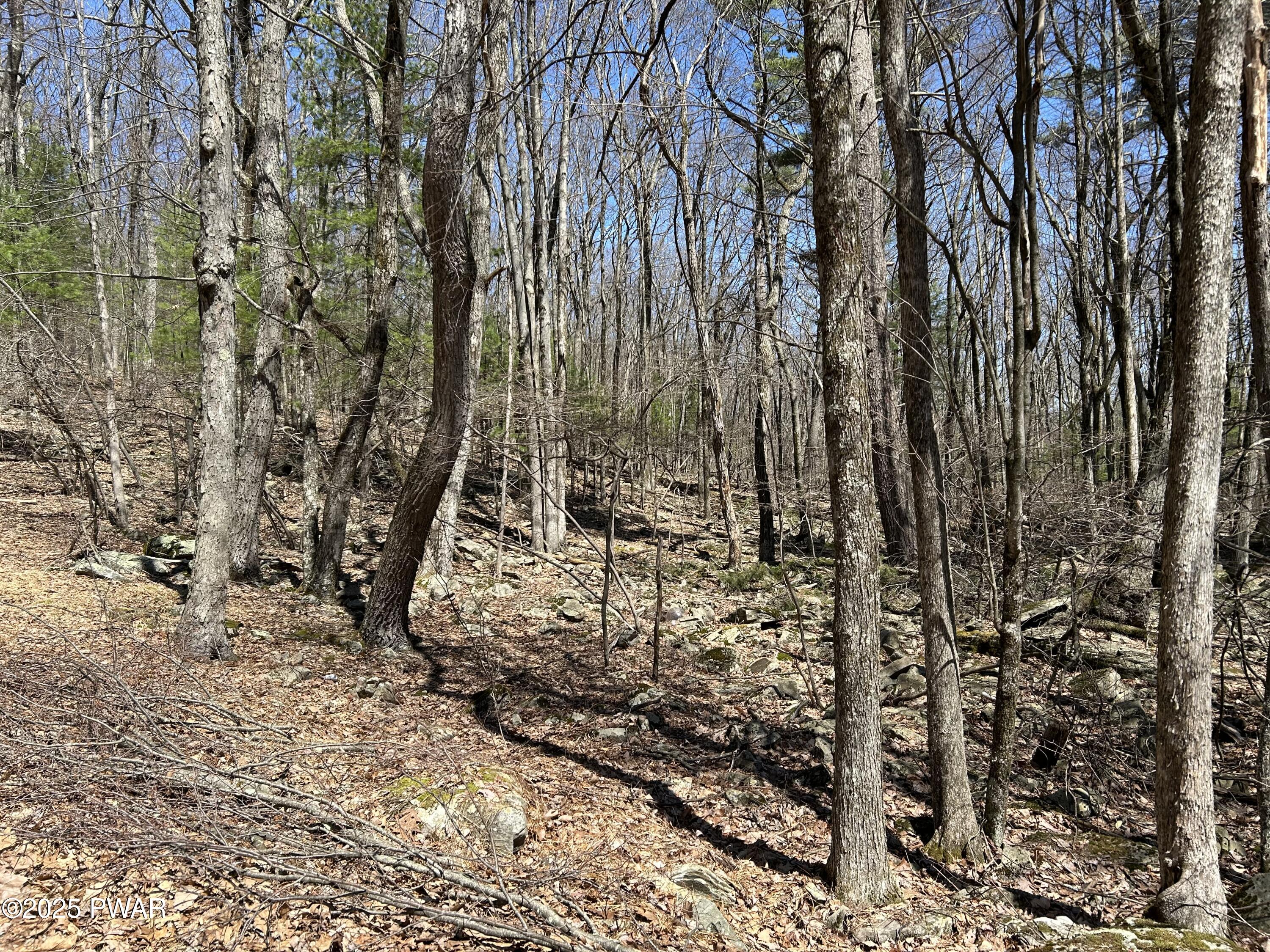 Lot 81 82 Heavenly Valley Drive, Tafton, Pennsylvania image 6
