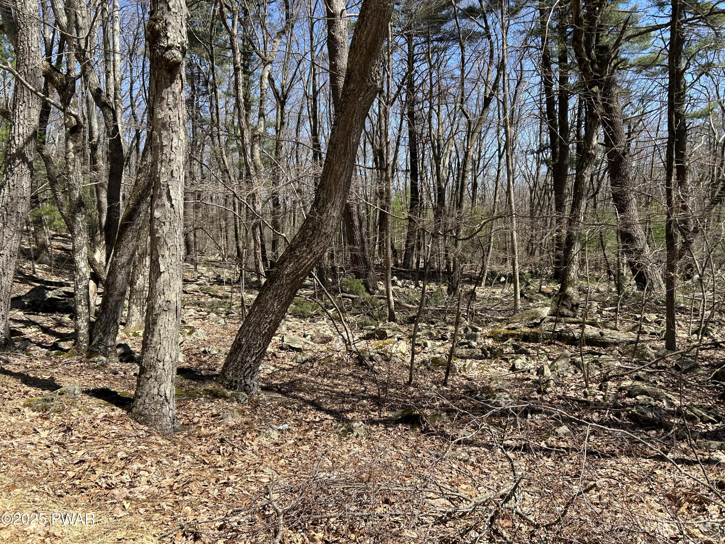 Lot 81 82 Heavenly Valley Drive, Tafton, Pennsylvania image 7