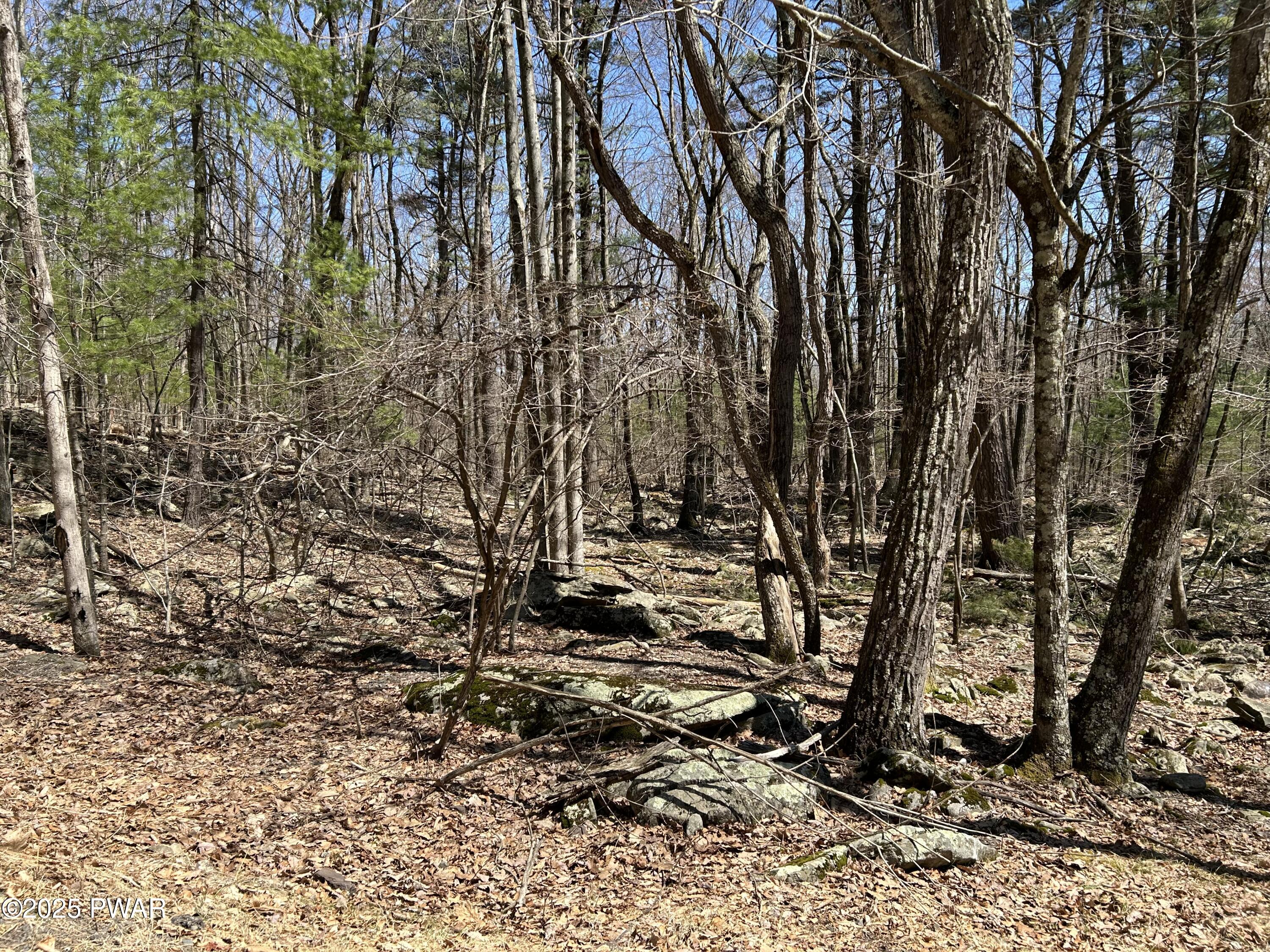 Lot 81 82 Heavenly Valley Drive, Tafton, Pennsylvania image 4