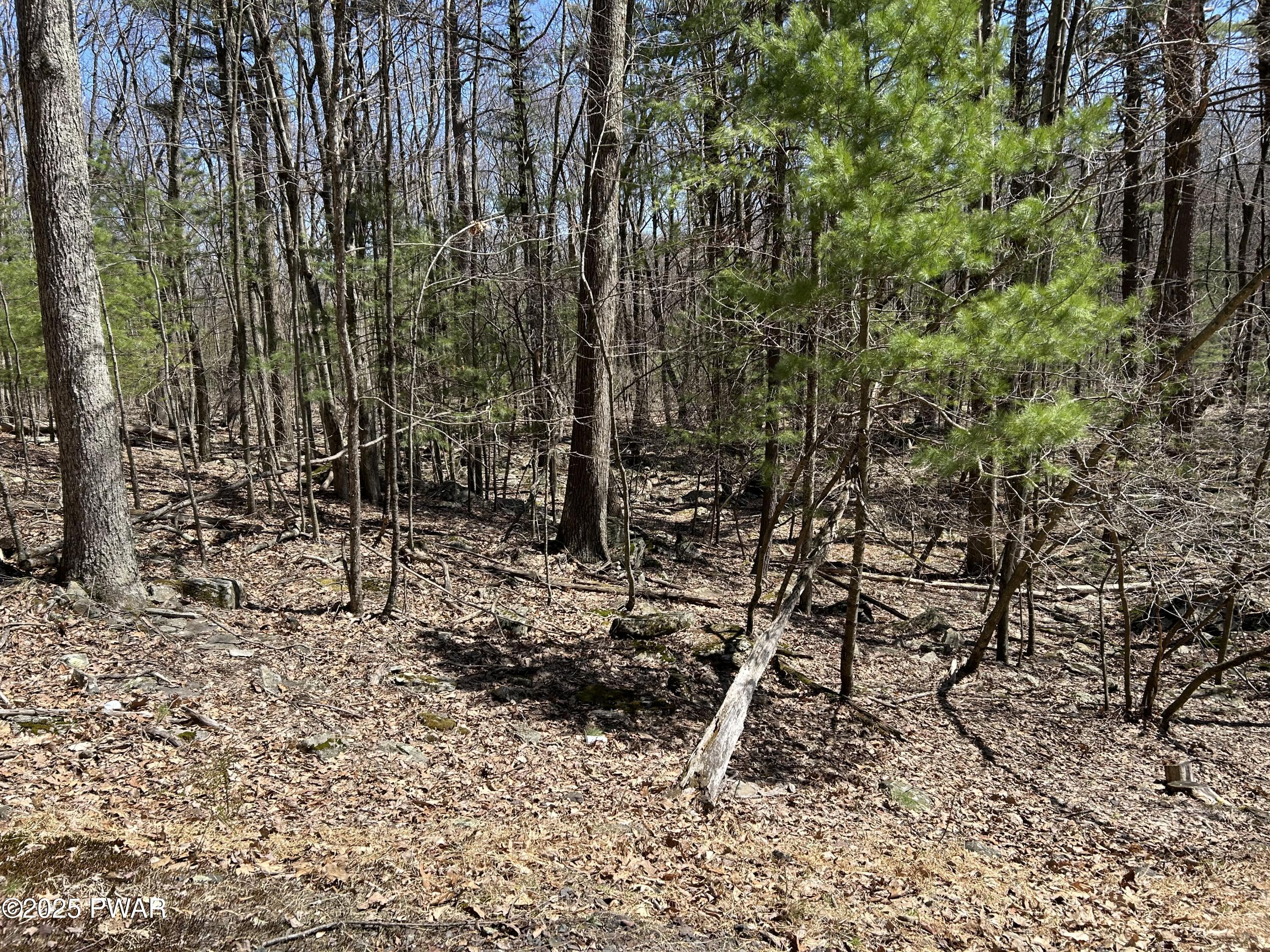 Lot 81 82 Heavenly Valley Drive, Tafton, Pennsylvania image 2