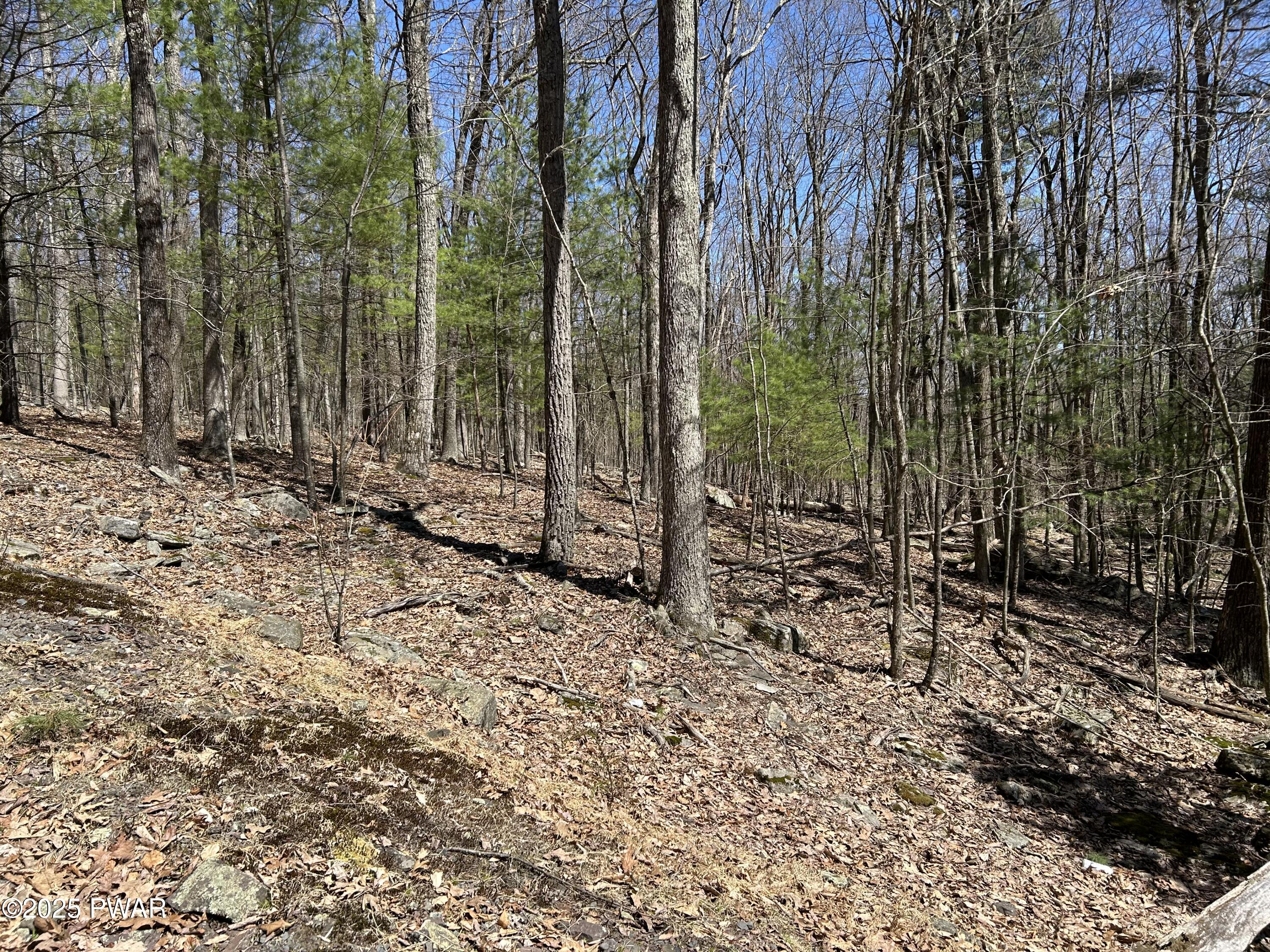 Lot 81 82 Heavenly Valley Drive, Tafton, Pennsylvania image 5
