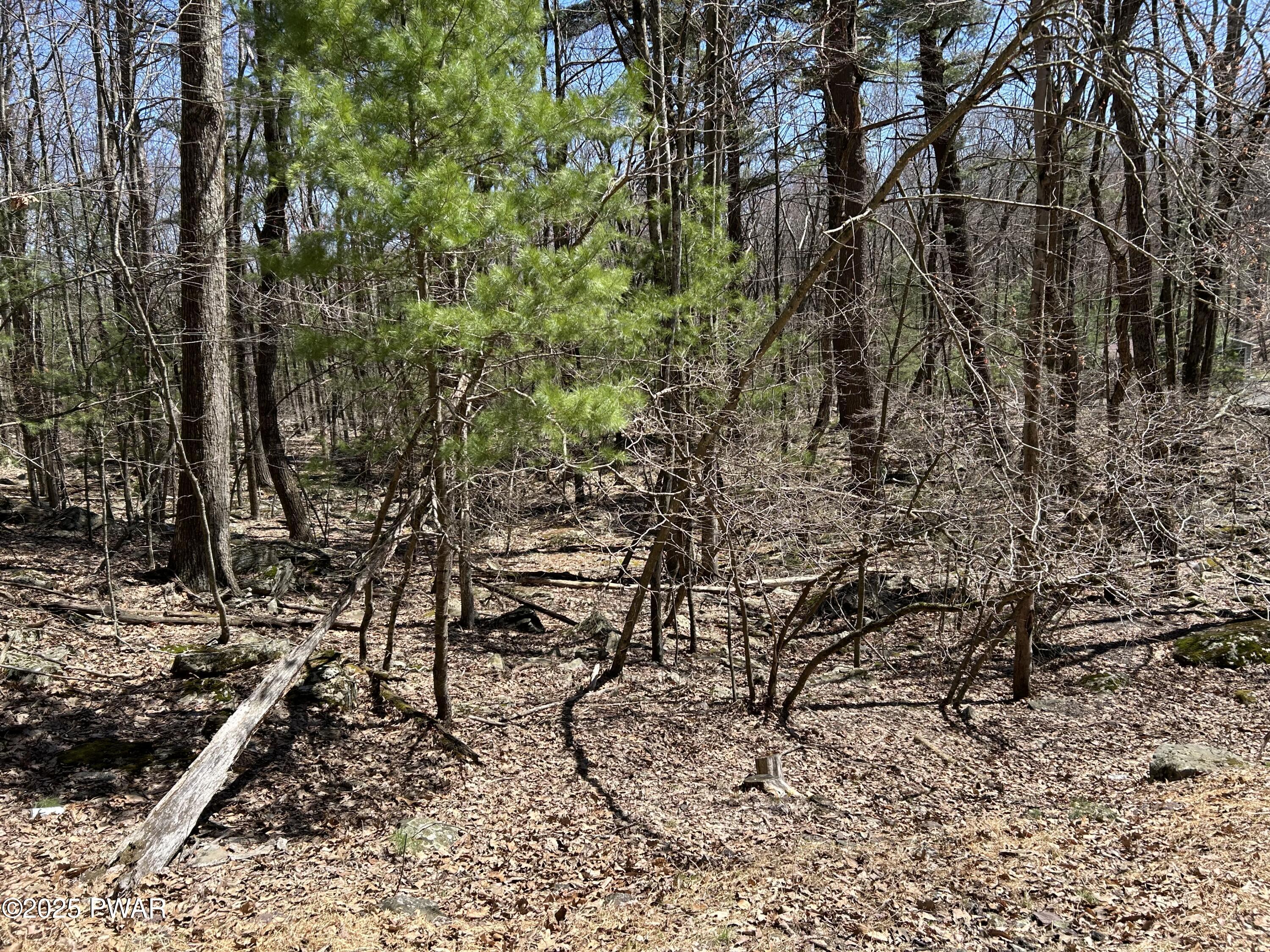 Lot 81 82 Heavenly Valley Drive, Tafton, Pennsylvania image 3