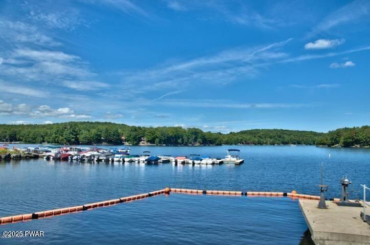 173 Parkwood Drive, Lake Ariel, Pennsylvania image 17