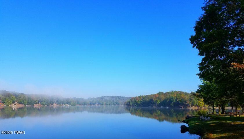 173 Parkwood Drive, Lake Ariel, Pennsylvania image 16
