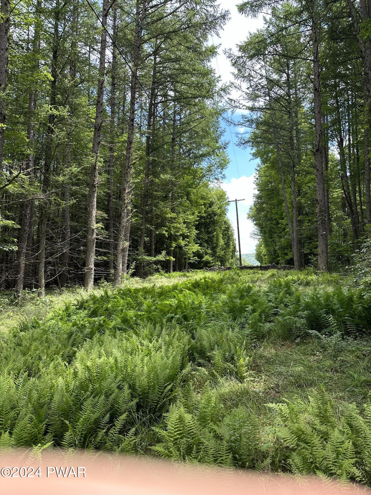 Upper Woods Road, Pleasant Mount, Pennsylvania image 8