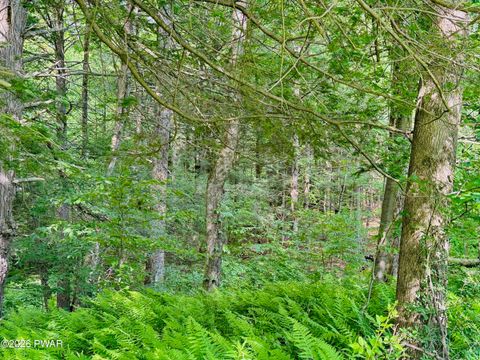 Vacant Land For Sale - Murphy Hill Road<br/> Pleasant Mount, PA 18453