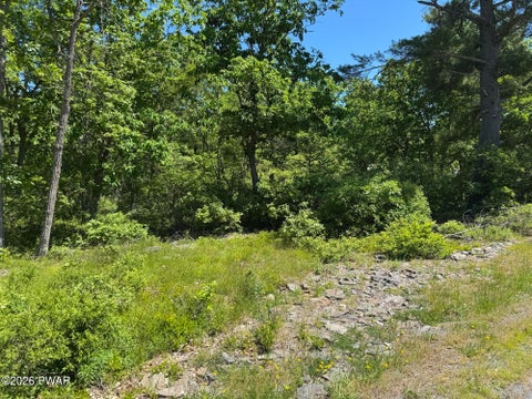 Vacant Land For Sale - 311 Blue Heron Way<br/> Hawley, PA 18428