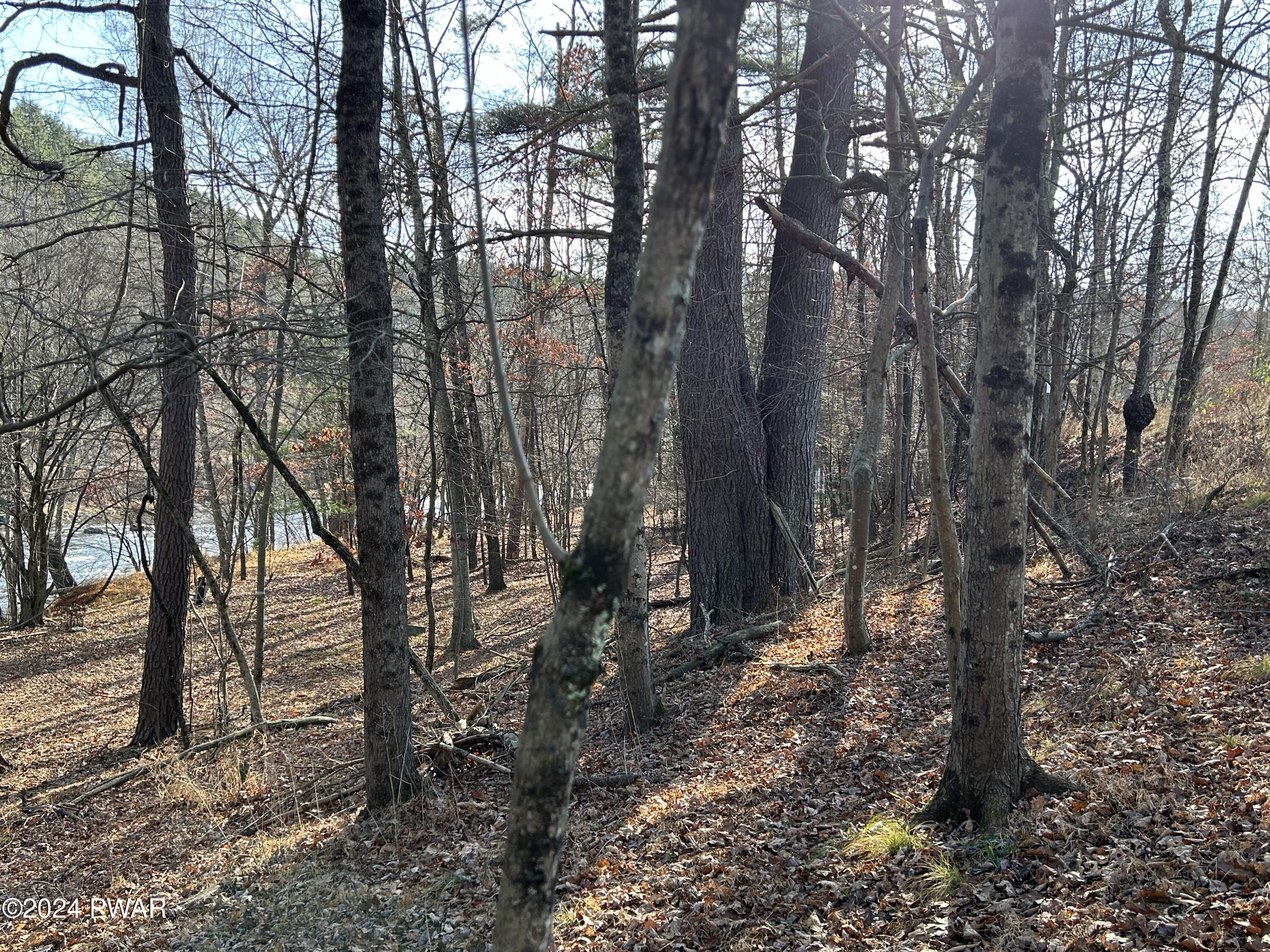 Township Road, Lackawaxen, Pennsylvania image 4