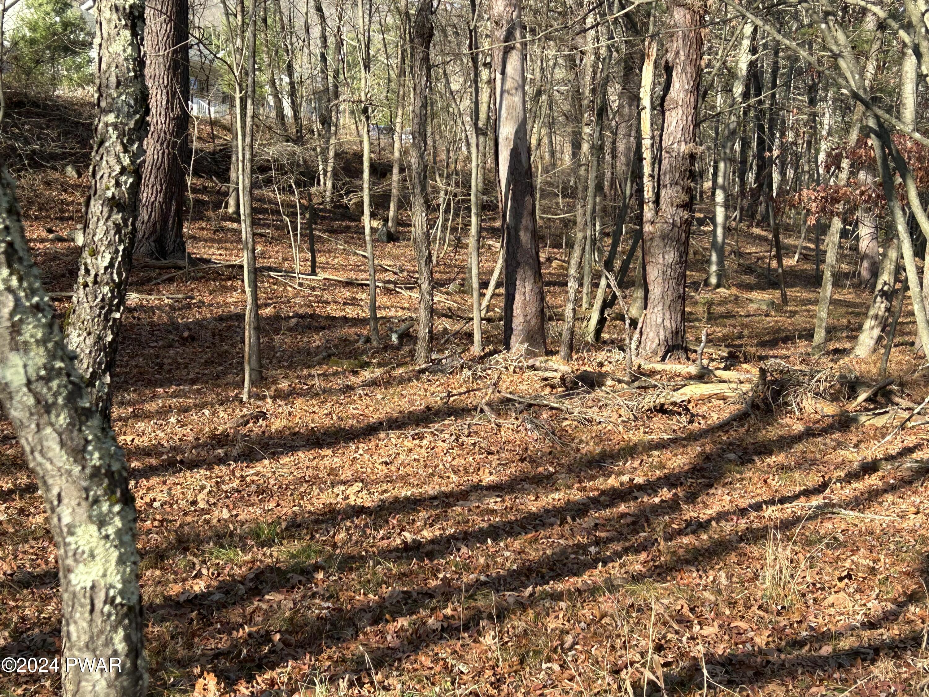 Township Road, Lackawaxen, Pennsylvania image 23