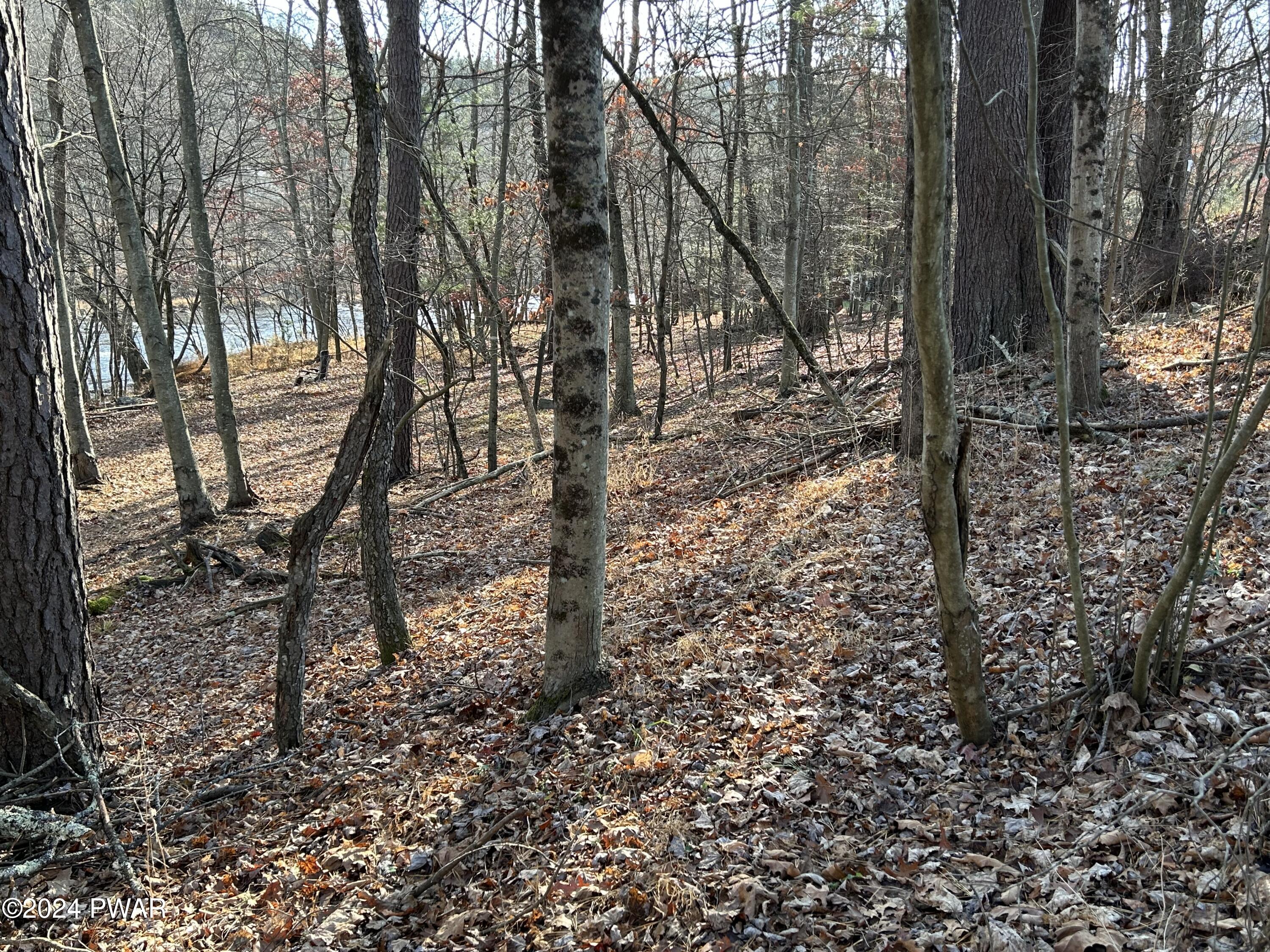 Township Road, Lackawaxen, Pennsylvania image 6