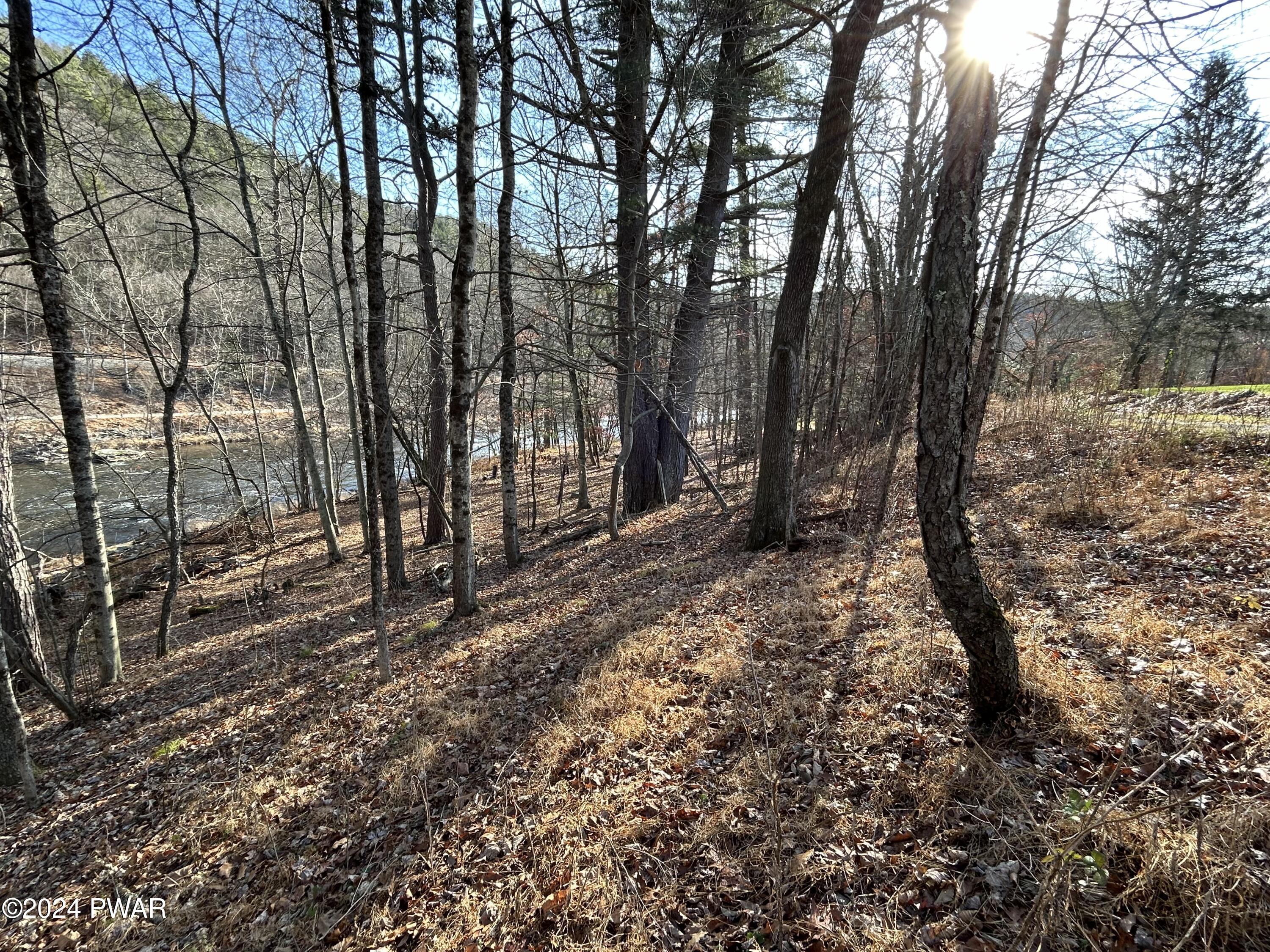 Township Road, Lackawaxen, Pennsylvania image 3