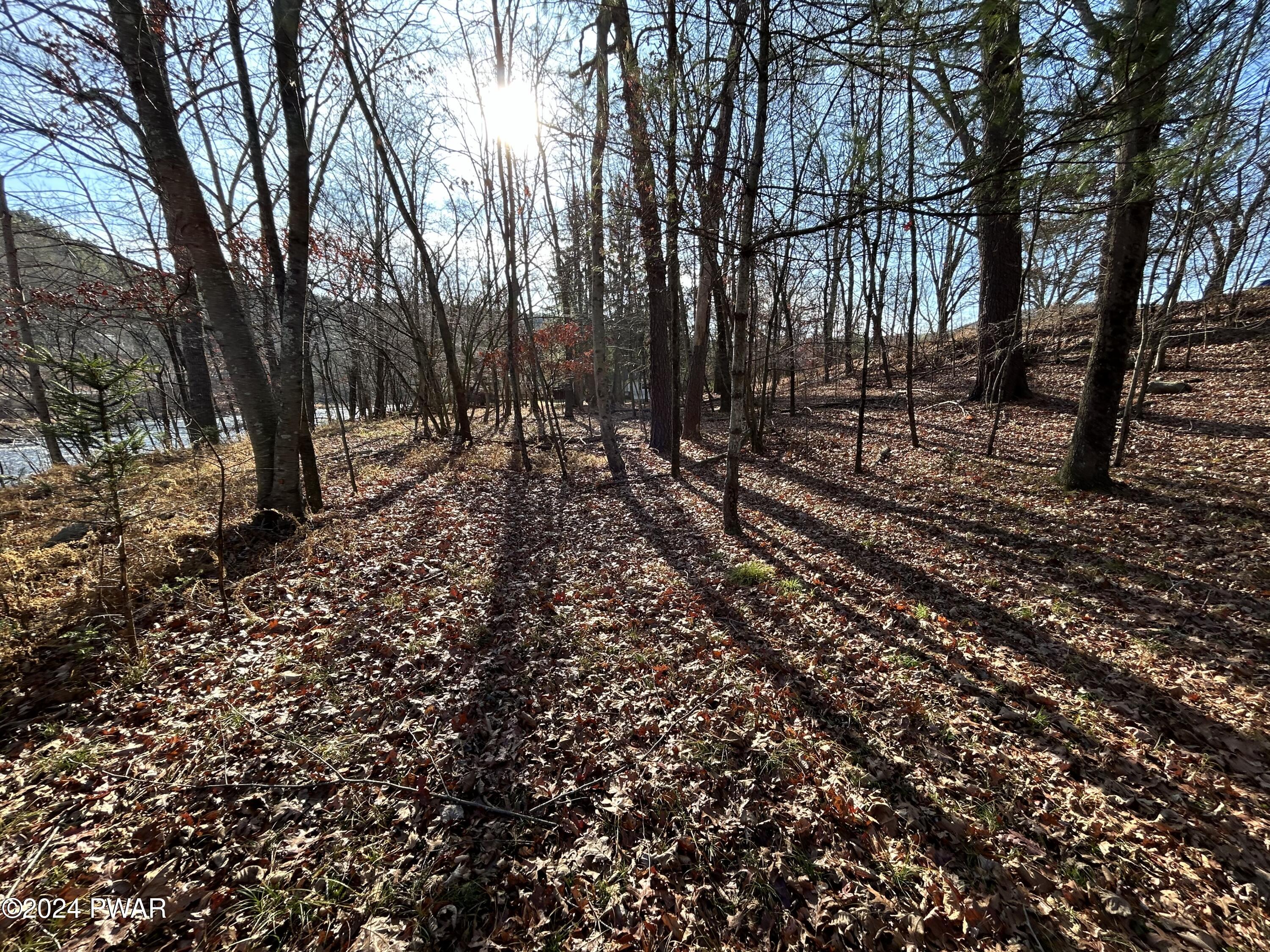 Township Road, Lackawaxen, Pennsylvania image 16