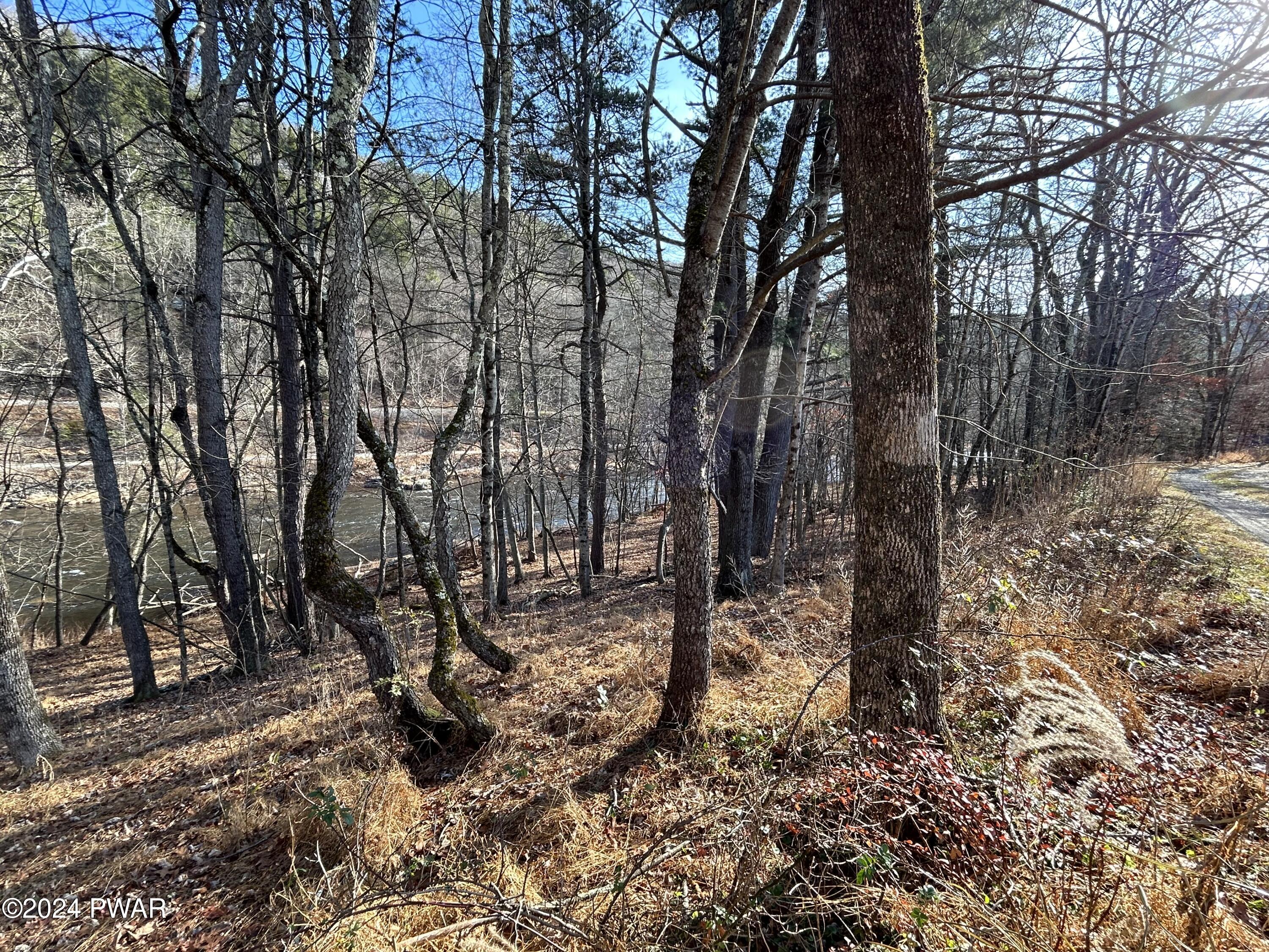 Township Road, Lackawaxen, Pennsylvania image 2