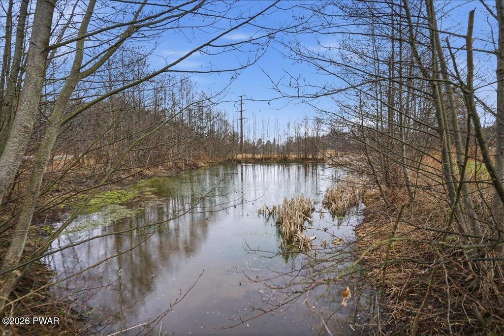 Photo of 421 W Abington Road, Dalton, PA 18414 (MLS # PW260878)