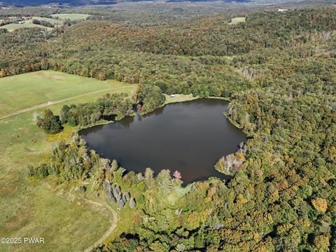 Vacant Land For Sale - LOT 4 Skinny Dip Lane<br/> Pleasant Mount, PA 18453