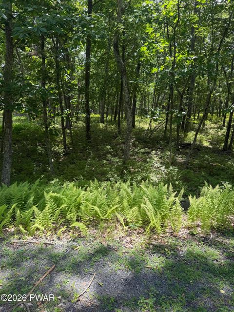 Vacant Land For Sale - 2119 Mallard Court<br/> Bushkill, PA 18328