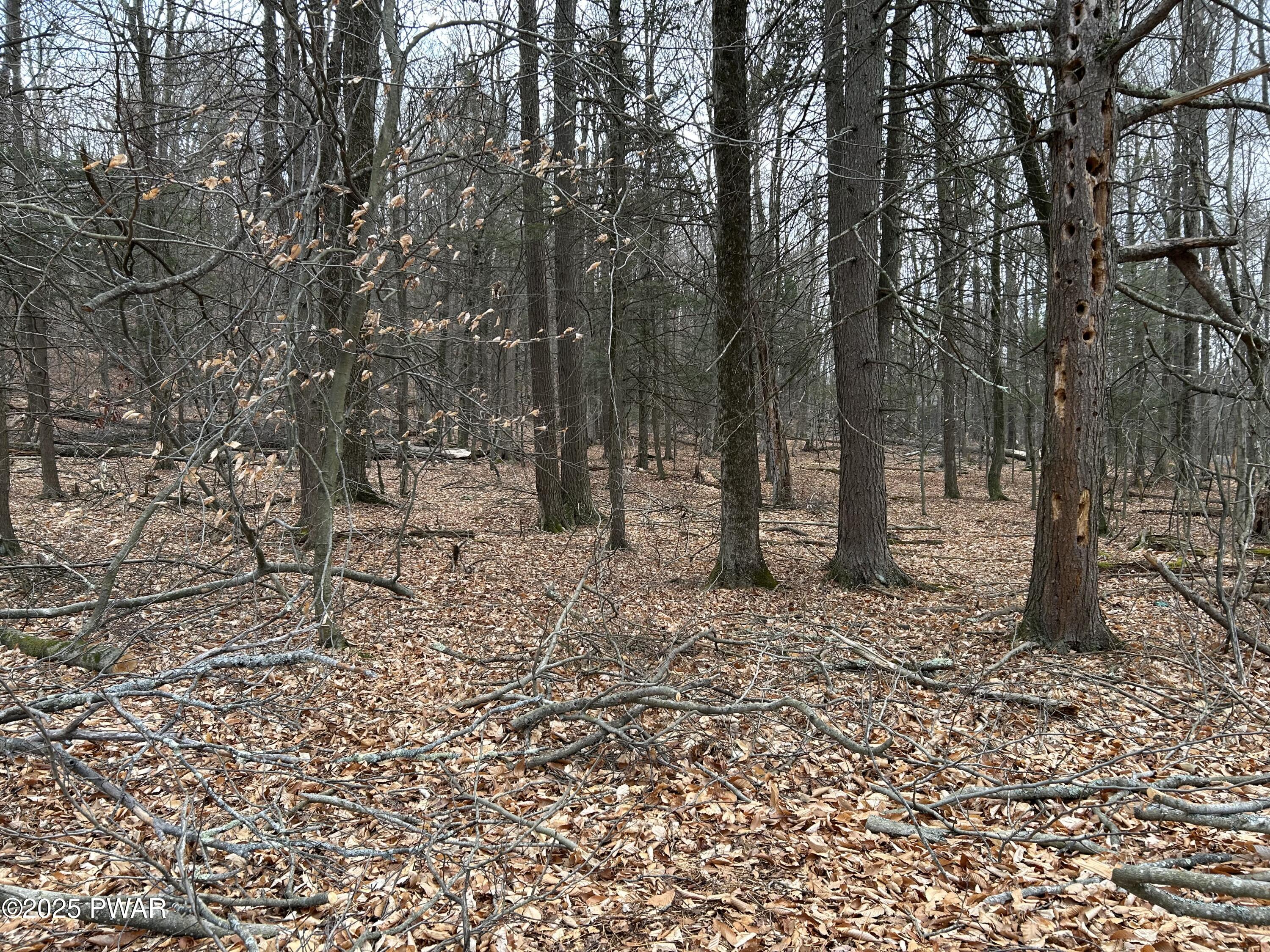 133 Upper Well Road, Greentown, Pennsylvania image 5