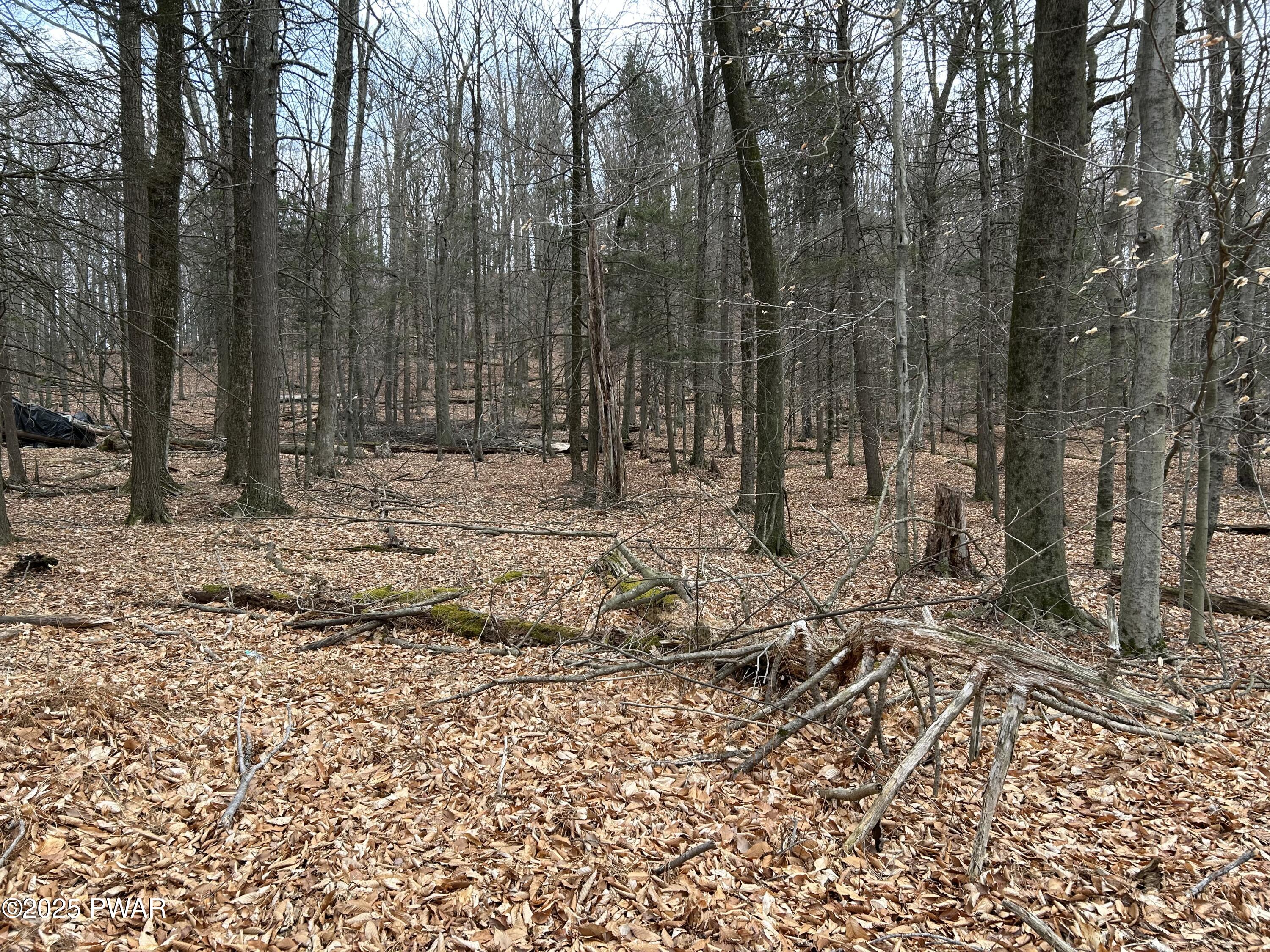 133 Upper Well Road, Greentown, Pennsylvania image 3