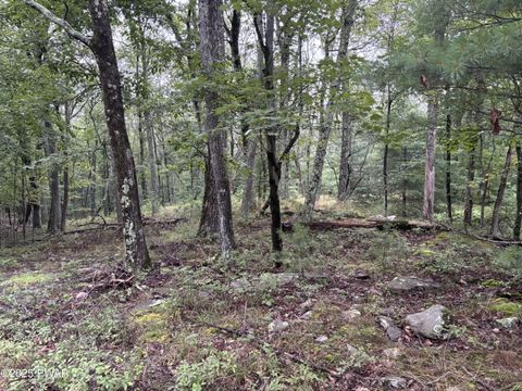 Vacant Land For Sale - LOT 785 Jack Pine Drive<br/> Dingmans Ferry, PA 18328