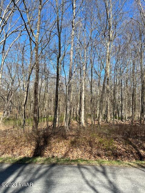 Lot 8 Meadow View Circle, Shohola, Pennsylvania image 5