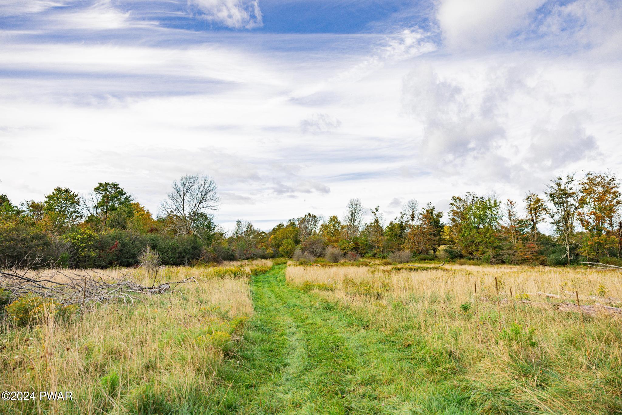 Bryn Mawr Road, Honesdale, Pennsylvania image 12