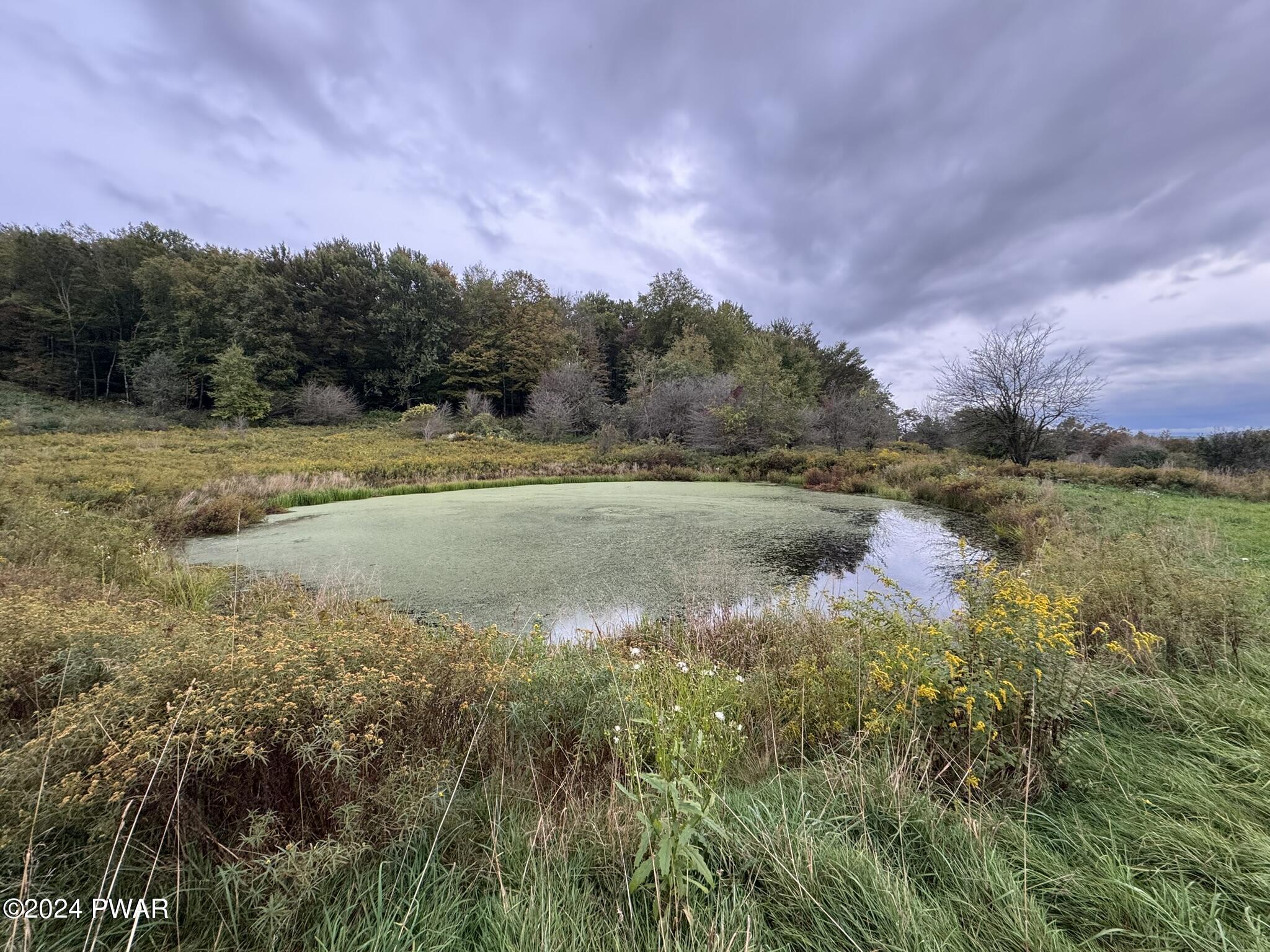 Bryn Mawr Road, Honesdale, Pennsylvania image 17