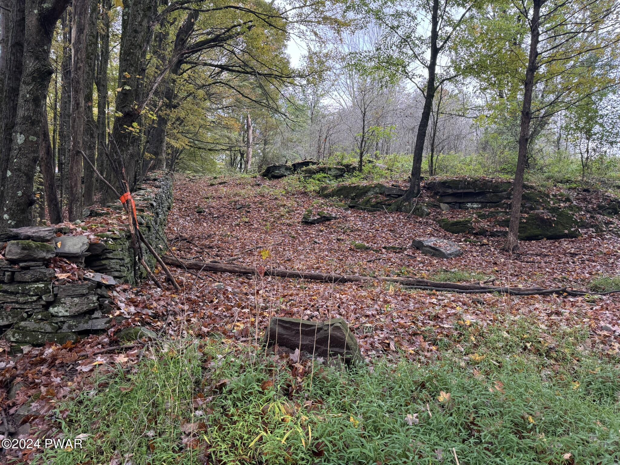 Bryn Mawr Road, Honesdale, Pennsylvania image 20