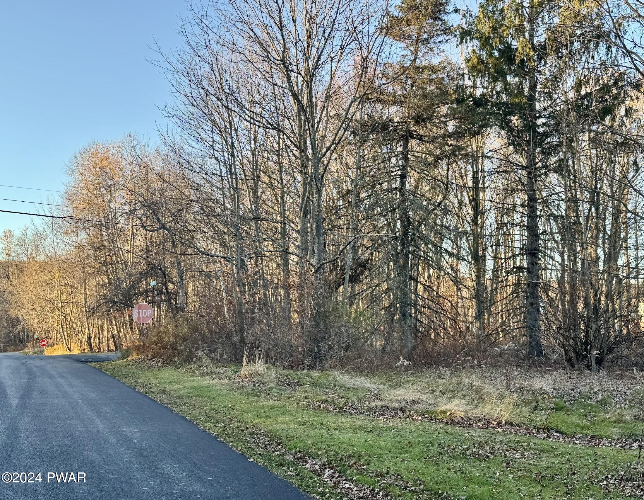 First Street, Richmondale, Pennsylvania image 1