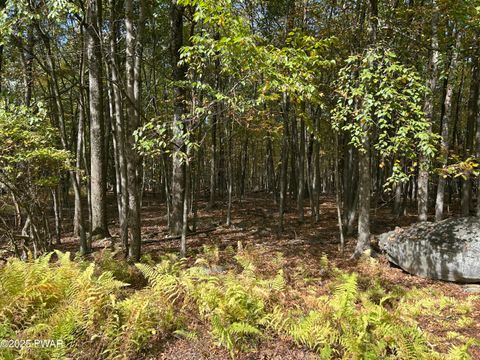 Vacant Land For Sale - LOT 251 W Chipmunk Road<br/> Bushkill, PA 18324