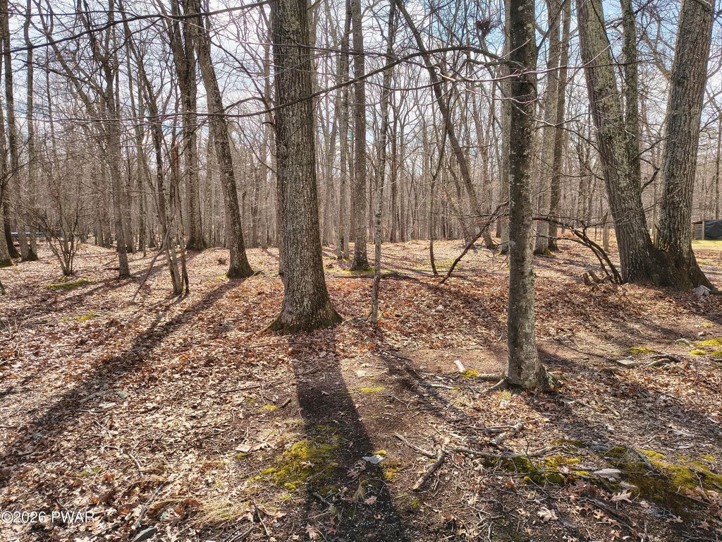 Photo of 174 Cottonwood Drive, Hawley, PA 18428 (MLS # PW260842)