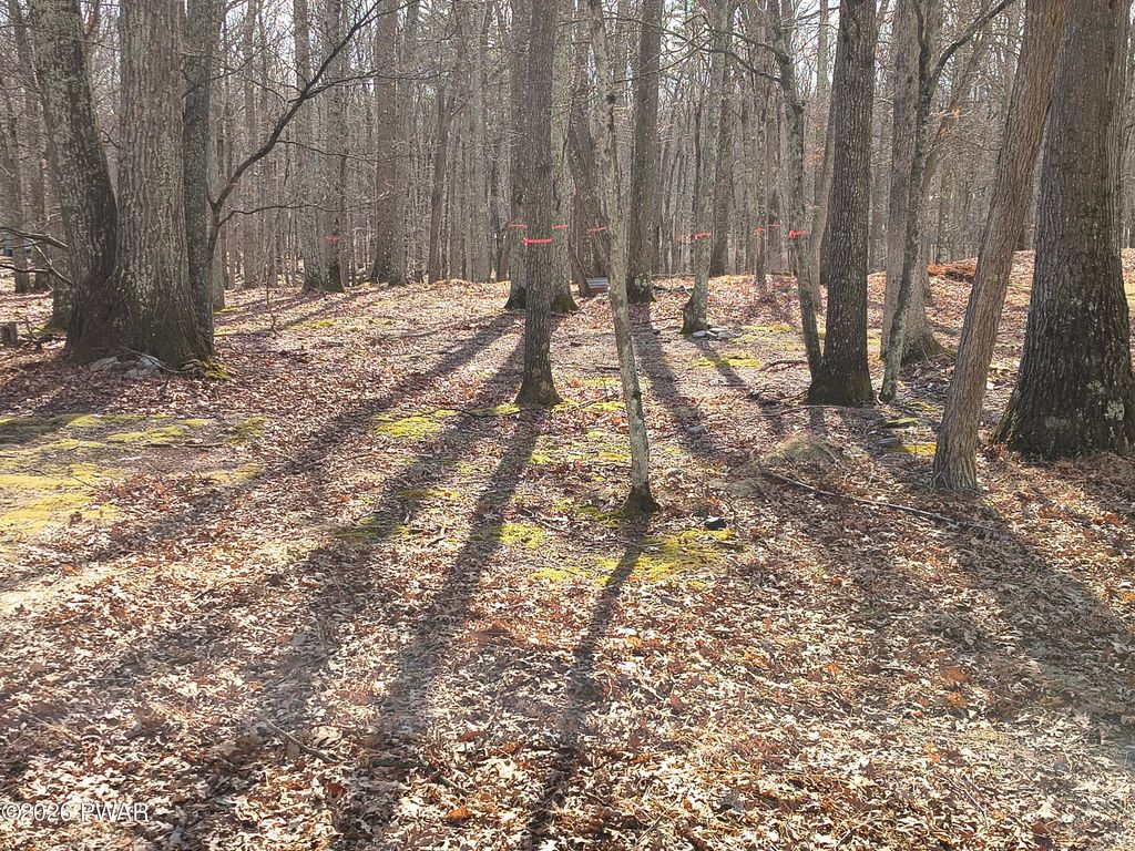 Photo of 174 Cottonwood Drive, Hawley, PA 18428 (MLS # PW260842)