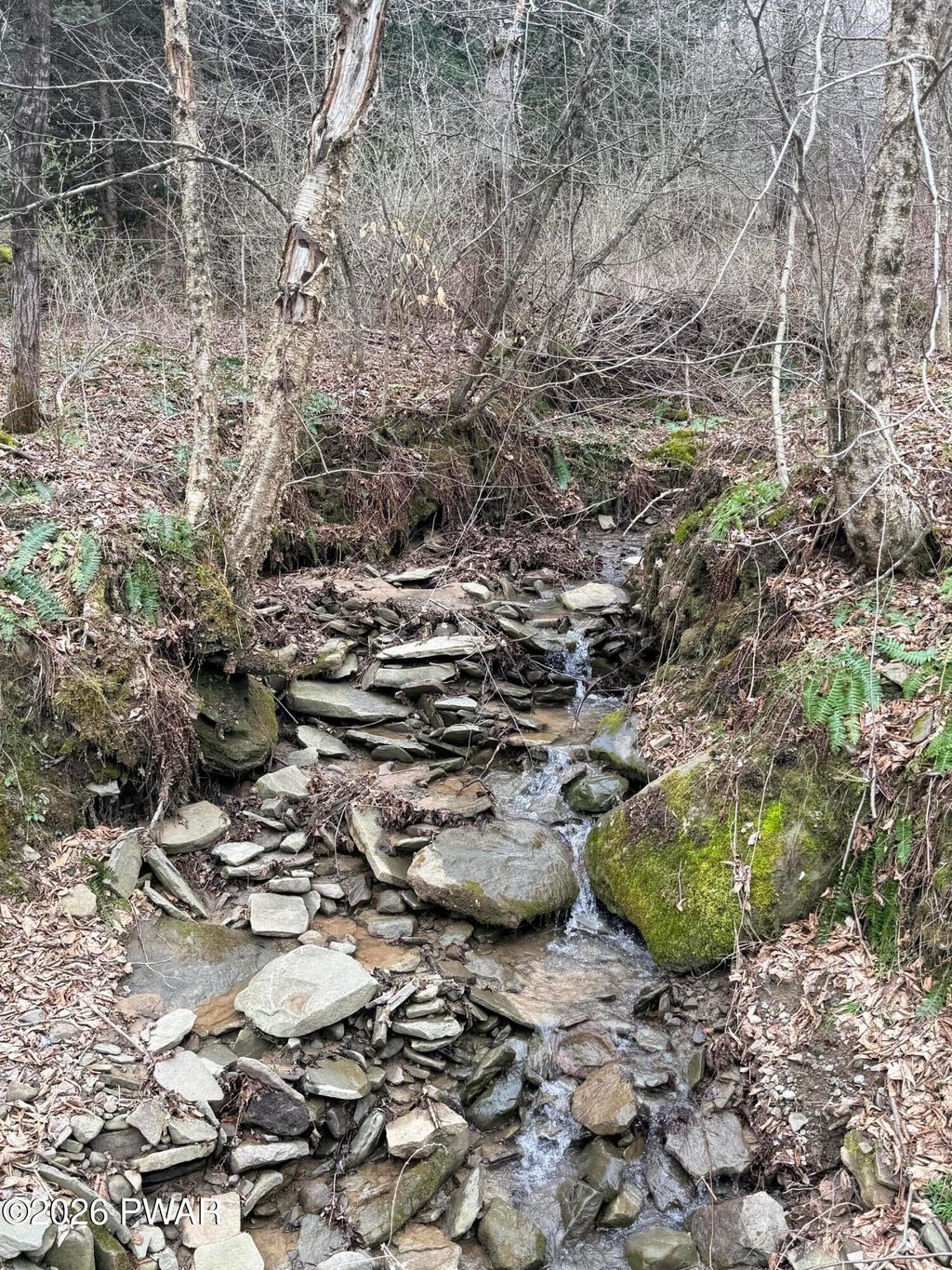 Photo of Osweld Johnson Road, Clifford Twp, PA 18441 (MLS # PW260799)