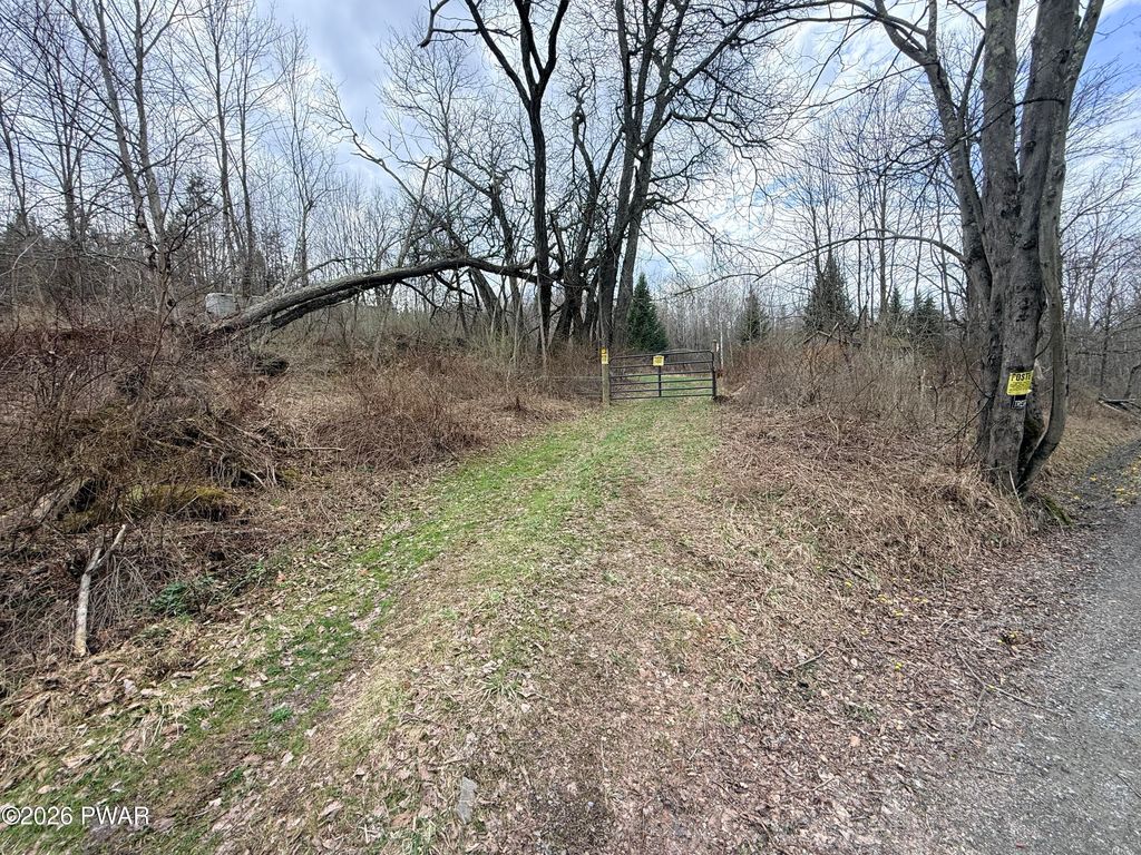 Photo of Osweld Johnson Road, Clifford Twp, PA 18441 (MLS # PW260799)
