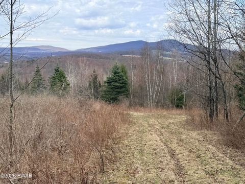 Vacant Land For Sale - Osweld Johnson Road<br/> Susquehanna County, Clifford Twp, PA 18441