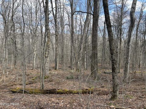 Vacant Land For Sale - LOT 205 Hemlock Terrace<br/> Greentown, PA 18426