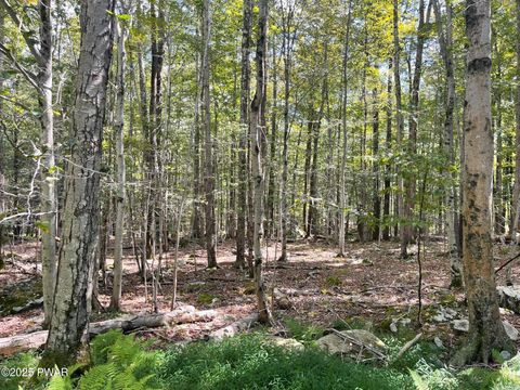 Vacant Land For Sale - Fawn Road<br/> Hawley, PA 18428