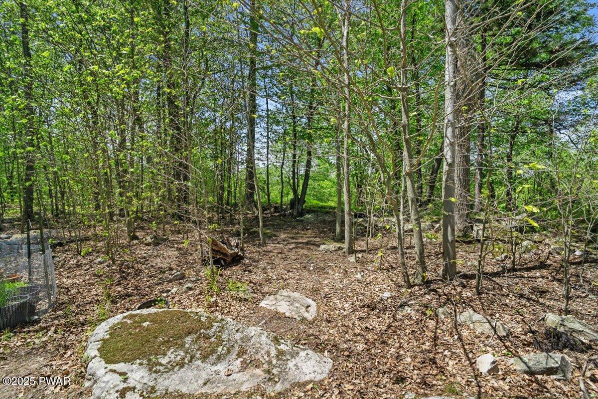 127 Timber Lake Drive, Canadensis, Pennsylvania image 40